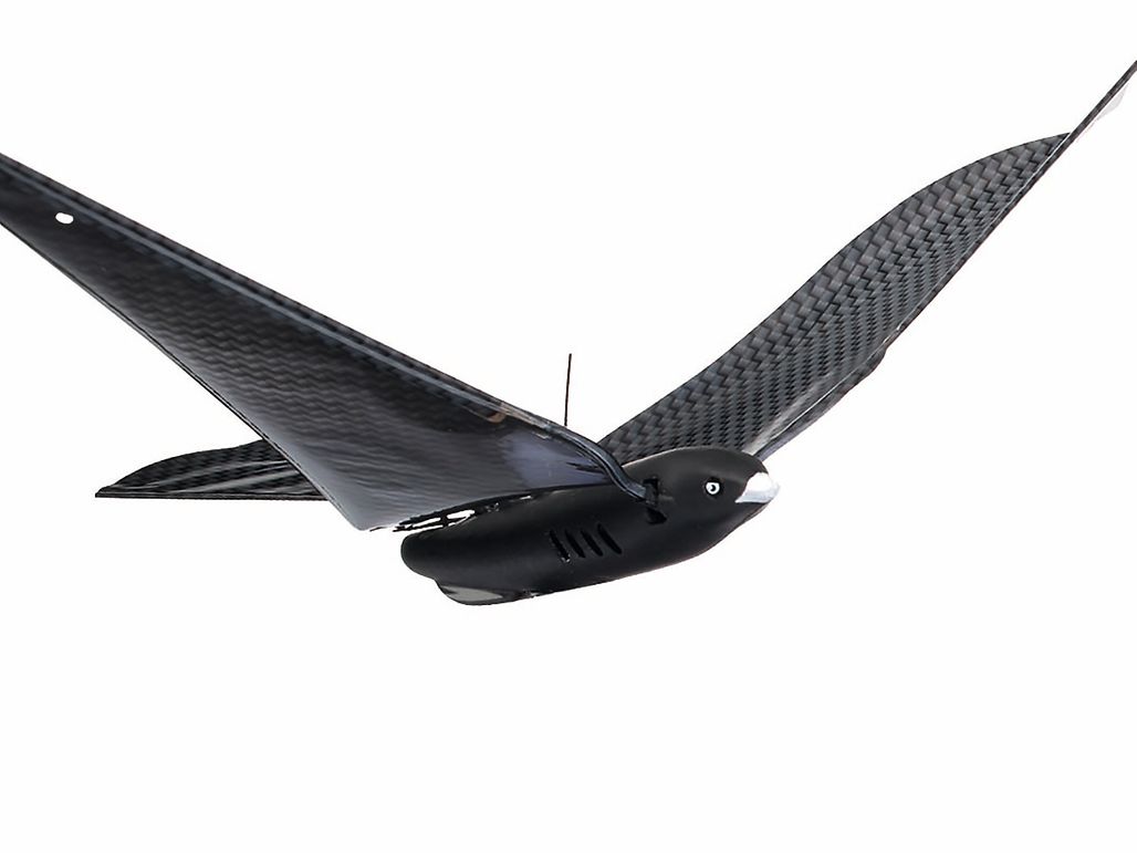 Bionicbird_web