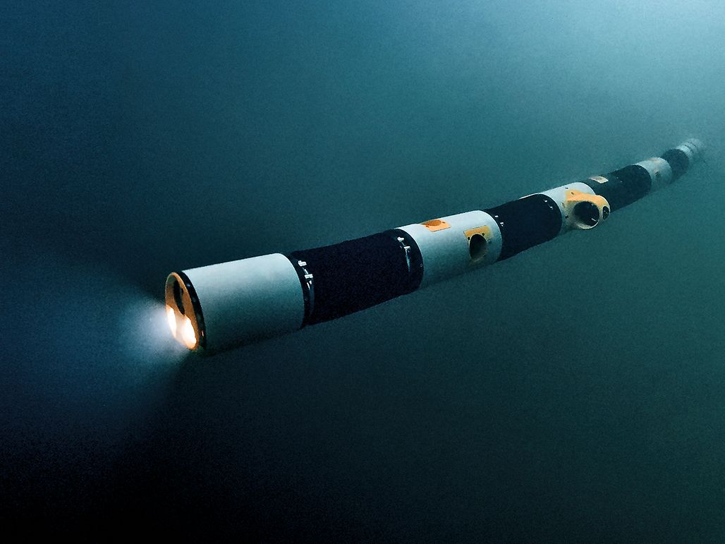 Underwatersnake