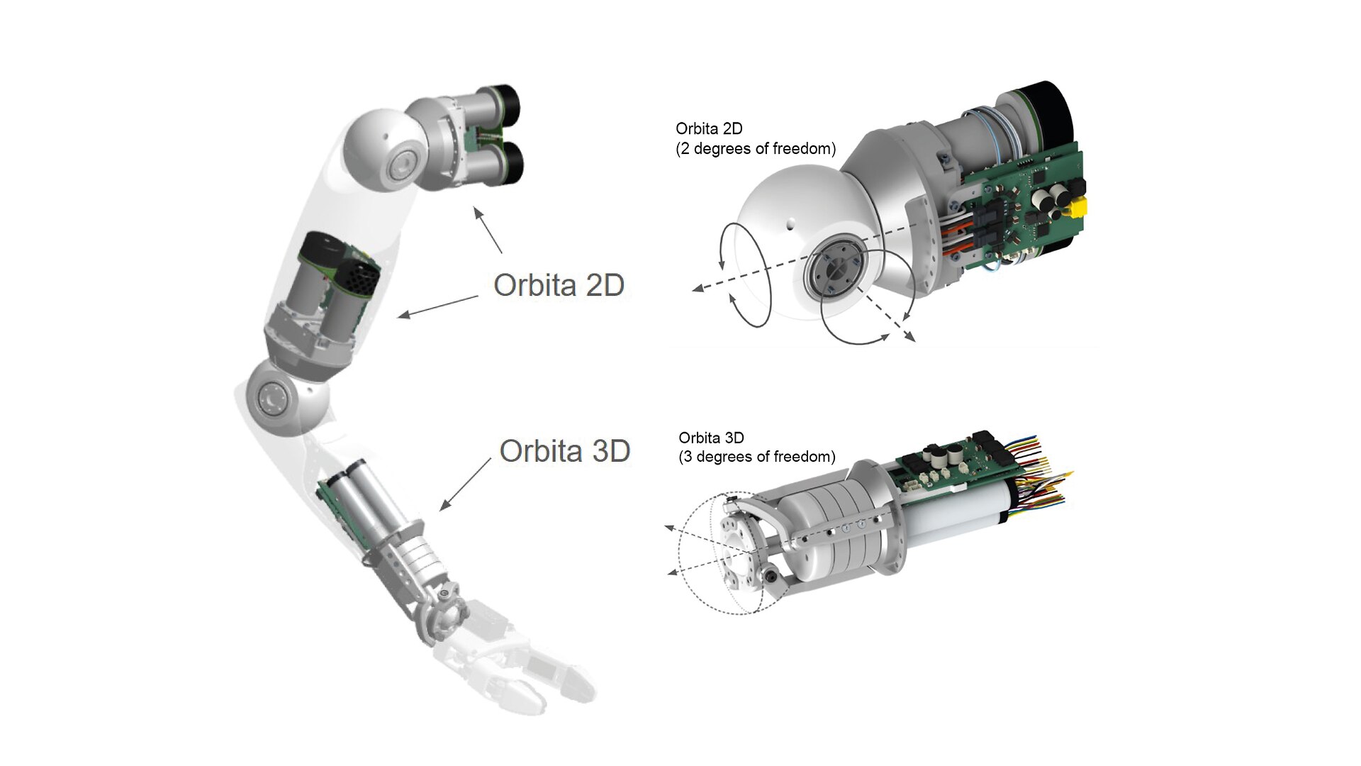 orbita 2D 3D vok EN