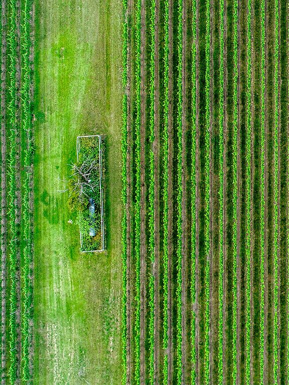 Template drive agriculture