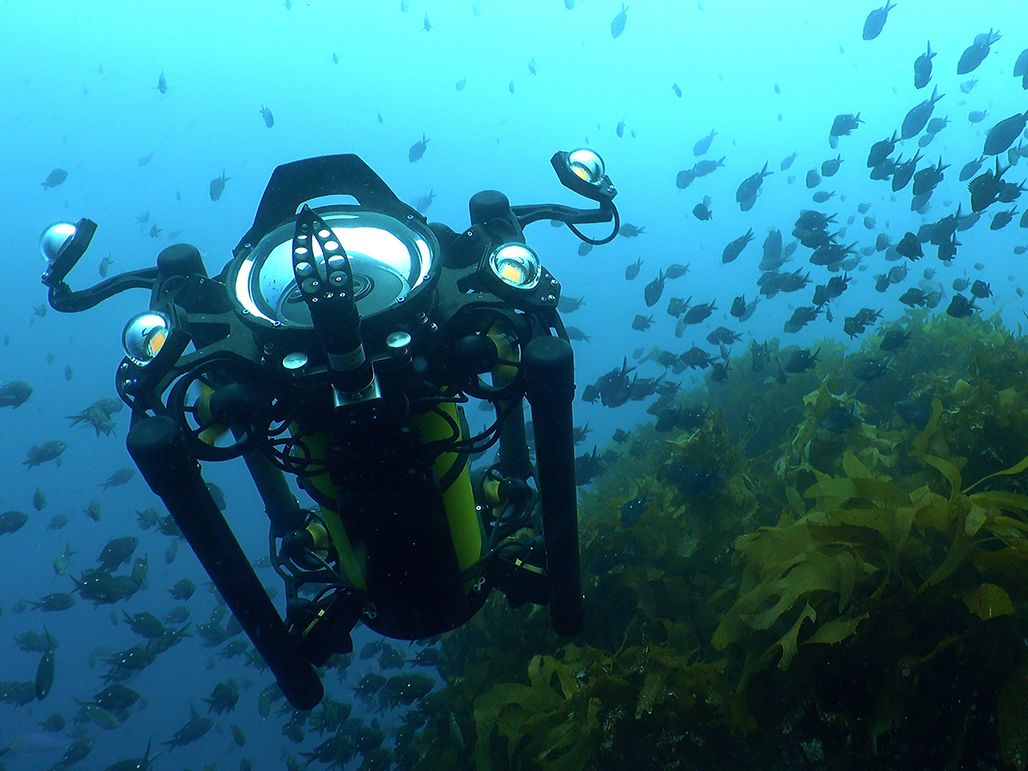 Reach Alpha 5 underwater_v4