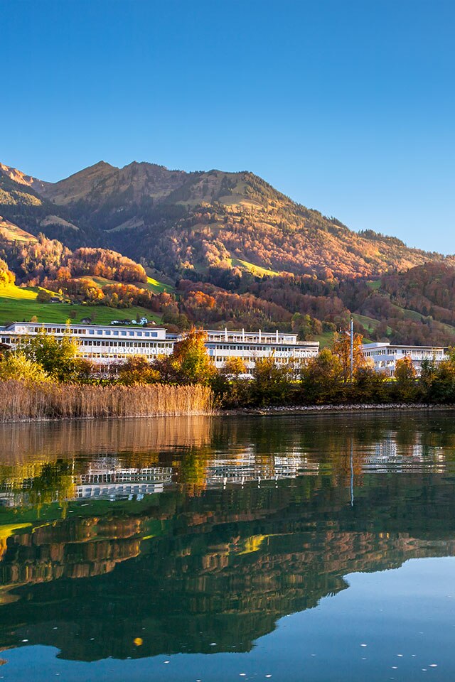 Swiss quality since 1961