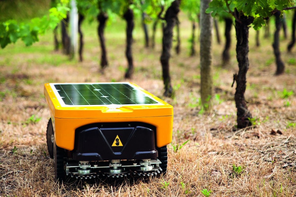 Robots in the vineyard | maxon group